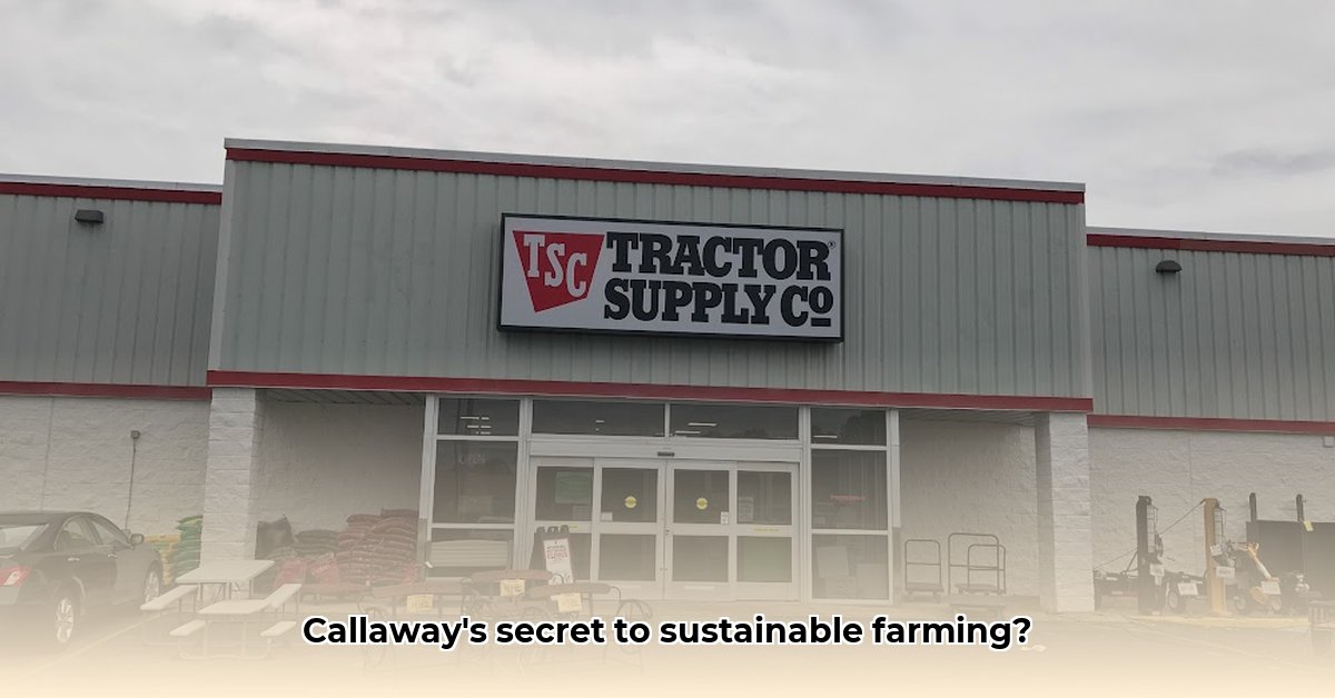 tractor-supply-callaway-florida